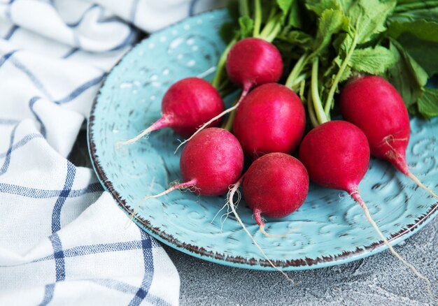 Bunch of radish