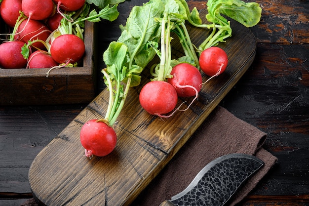 Bunch of radishes. Freshly harvested, purple colorful radish