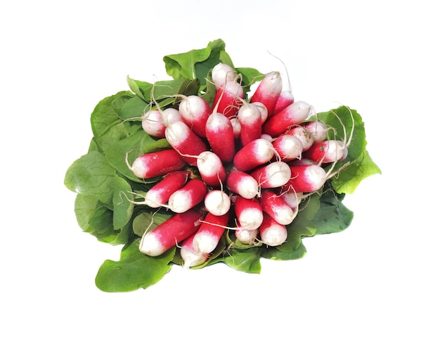 Photo bunch of radishes isolated on white background