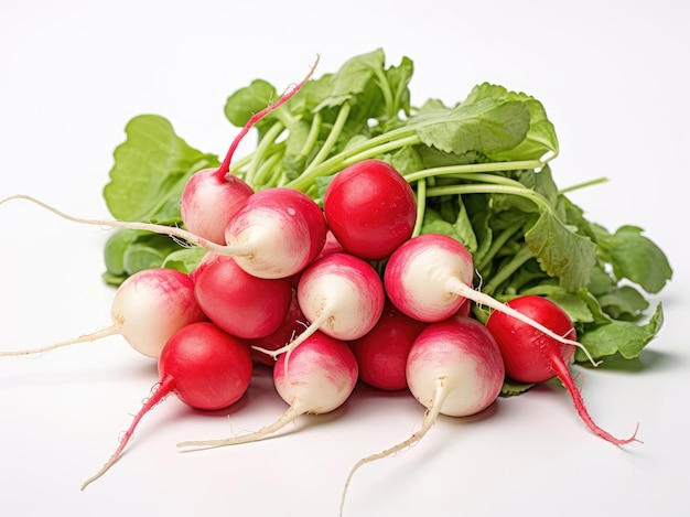 Bunch of radishes with green leaves on a white background