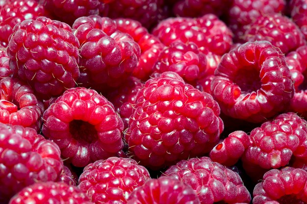 Bunch of raspberries at the market