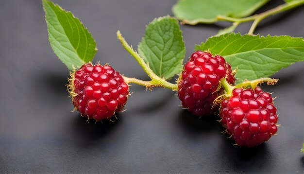 a bunch of raspberries with green leaves and a black background