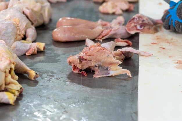 A bunch of raw chicken bones on a counter