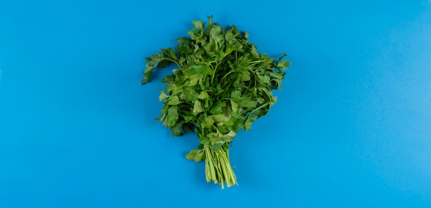 A bunch of raw green parsley top view isolated