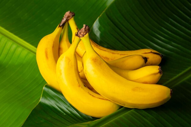 Bunch of Raw Organic Bananas Ready to Eat