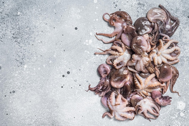 Bunch of raw young baby octopus on kitchen table Gray background Top view Copy space