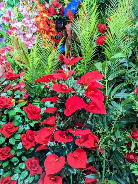 A bunch of red flowers are in a garden with a green plant