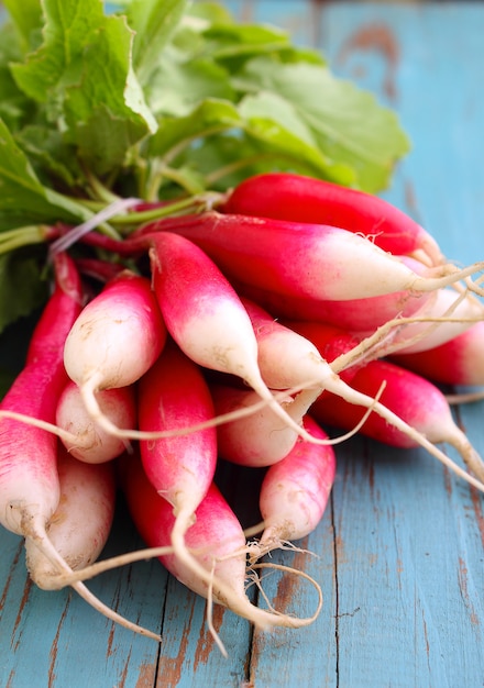 Bunch of a red garden radish with green leaves