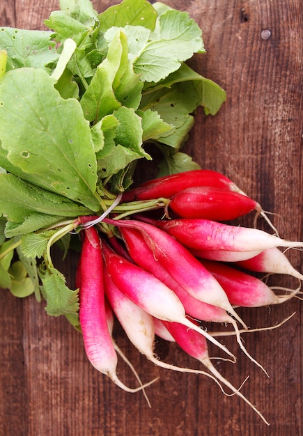 Bunch of a red garden radish with green leaves