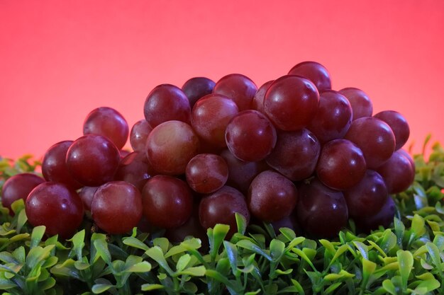 A bunch of red grapes in close-up