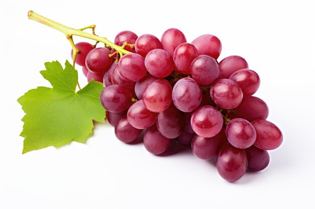 Bunch of red grapes on white