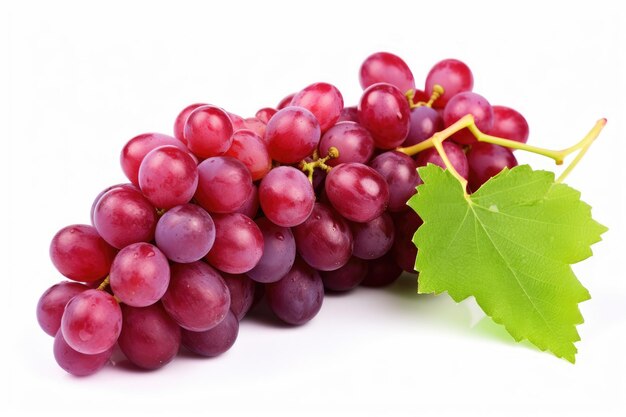 Bunch of red grapes on white