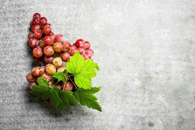 Bunch of red grapes. 