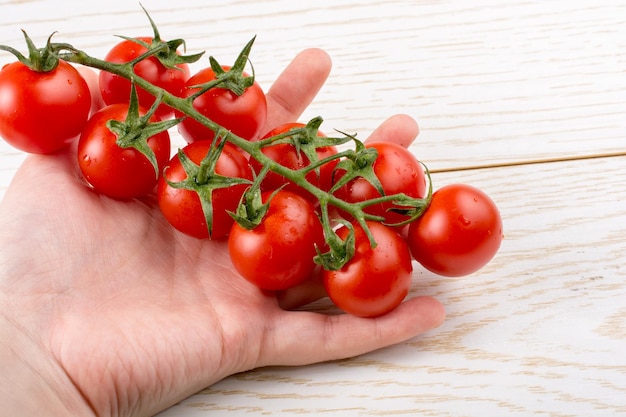 손에 빨간색 잘 익은 맛있는 체리 토마토의 무리