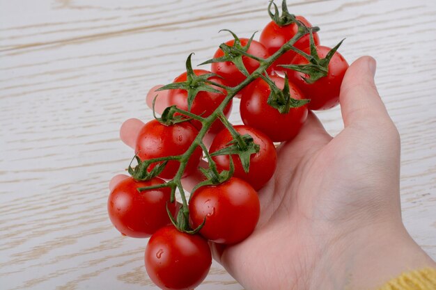 손에 빨간색 잘 익은 맛있는 체리 토마토의 무리