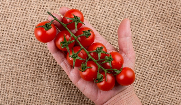 Bunch of red ripe tasty cherry tomatos in hand