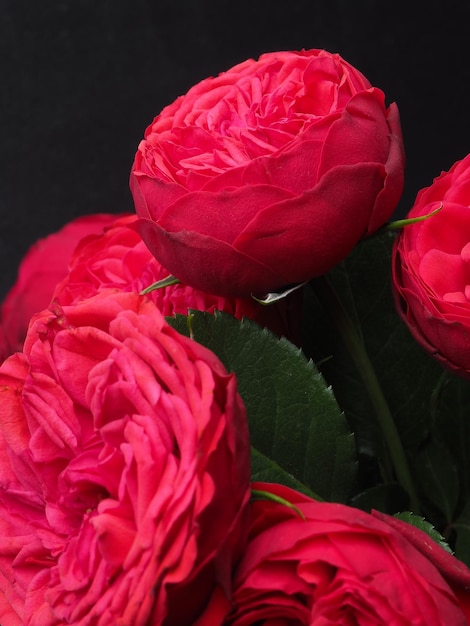 A bunch of red roses are in a vase with a green leaf.