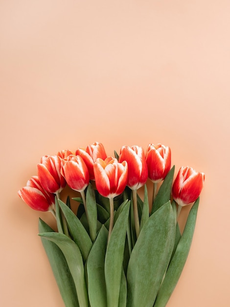 Bunch of red tulip on peach fuzz background