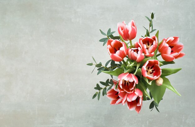 Bunch of red tulips and eucalyptus leaves on grey, top view, text space