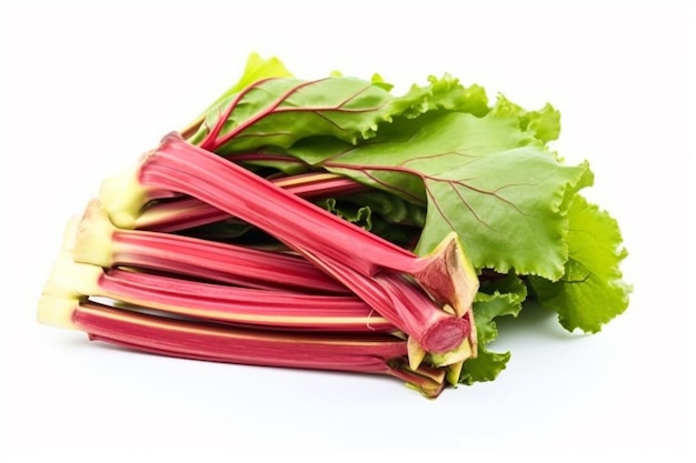 A bunch of rhubarb on a white background