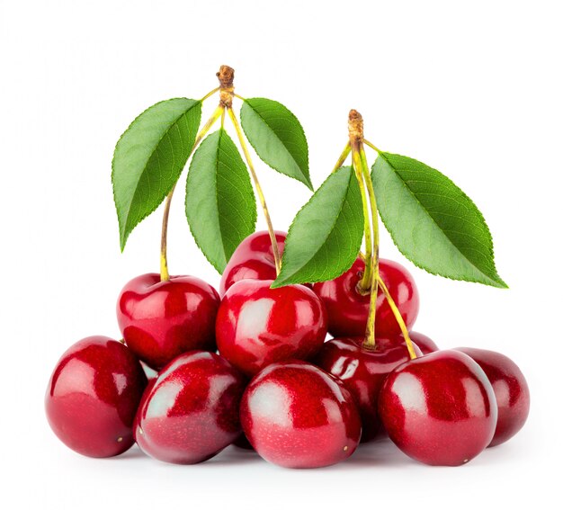 Bunch of ripe cherries with leaves