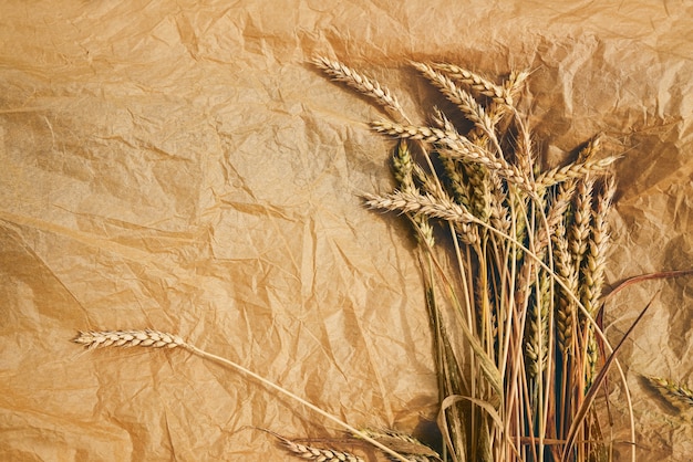 Bunch of ripe golden wheat on craft paper background