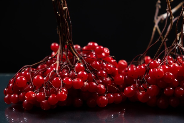 A bunch of ripe viburnum berries on a black background closeup