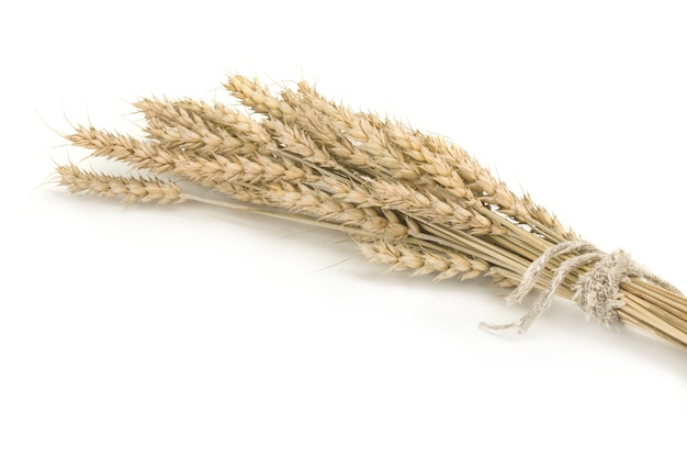 Bunch of ripe wheat ears isolated on white