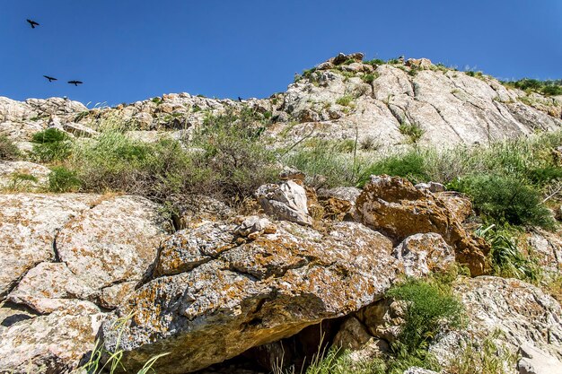 Photo a bunch of rocky ground in nature