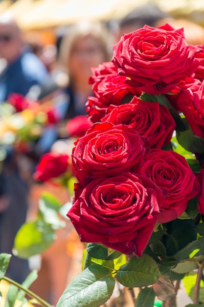 Foto un mazzo di rose a fuoco selettivo con un viale affollato sul retro