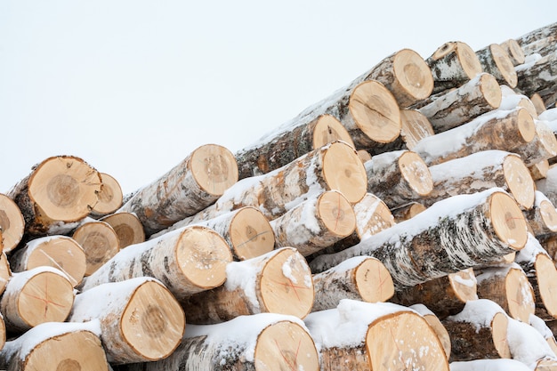 Bunch of several birch logs covered with large layer of snow