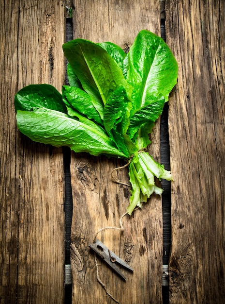 Bunch of sorrel with scissors on a wooden table