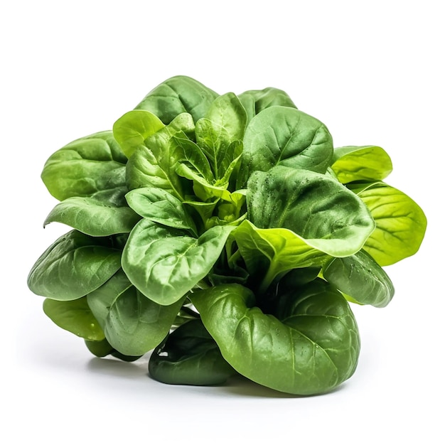 A bunch of spinach is on a white background.