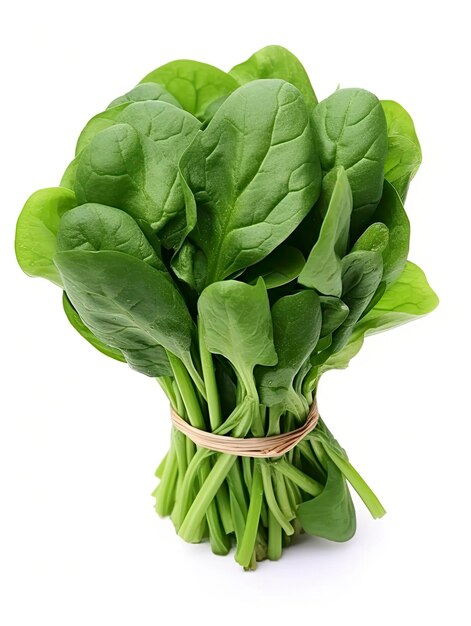 Bunch of spinach isolated on white background