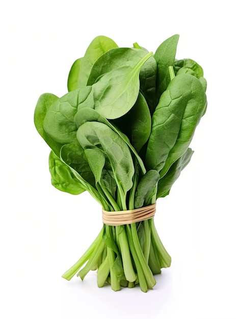 Bunch of spinach isolated on white background