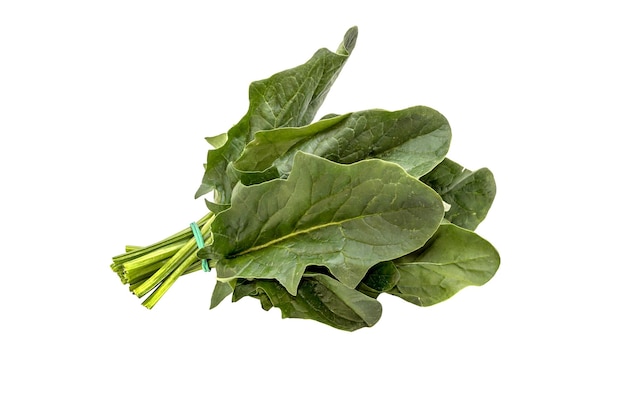 A bunch of spinach isolated on white