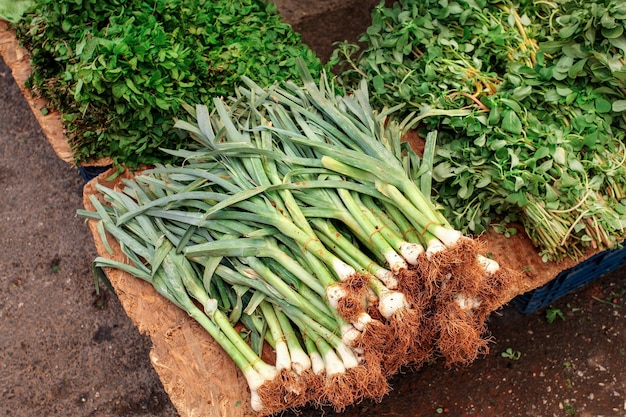 Bunch of spring onions, valerianella (corn salad) and mint leaves displayed on food market. Kyrenia, Cyprus.