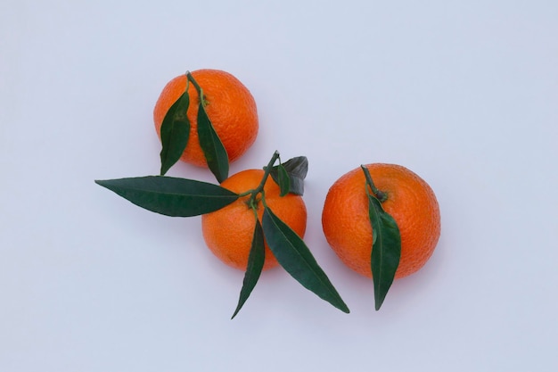 A bunch of tangerines with green leaves on a white background