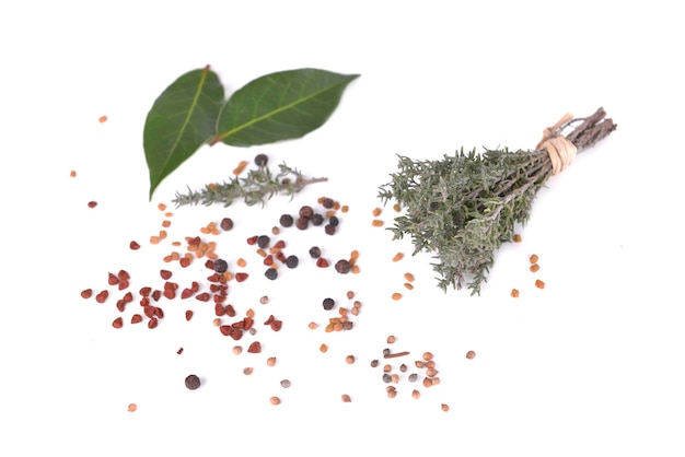 Bunch of thyme and leaf of sweet bay and berries spices isolated on white background