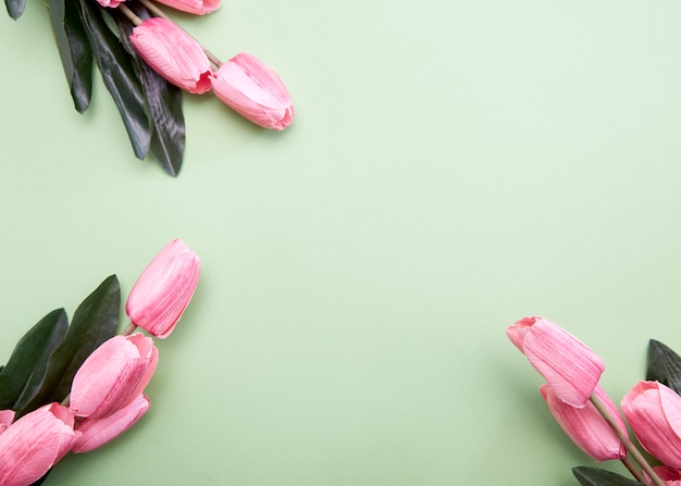 Bunch of tulip flowers on green