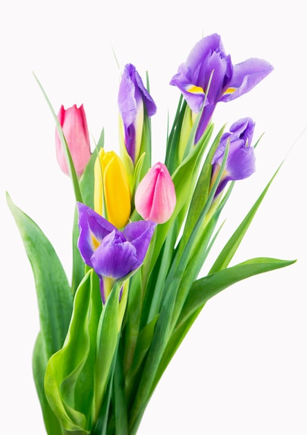 Bunch of tulips and irises isolated on white background