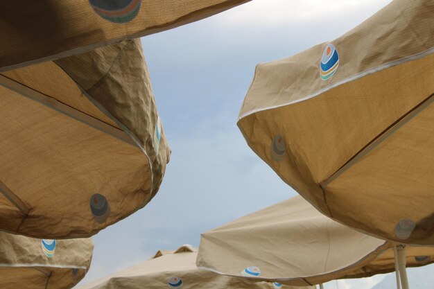 A bunch of umbrellas with the logo on them