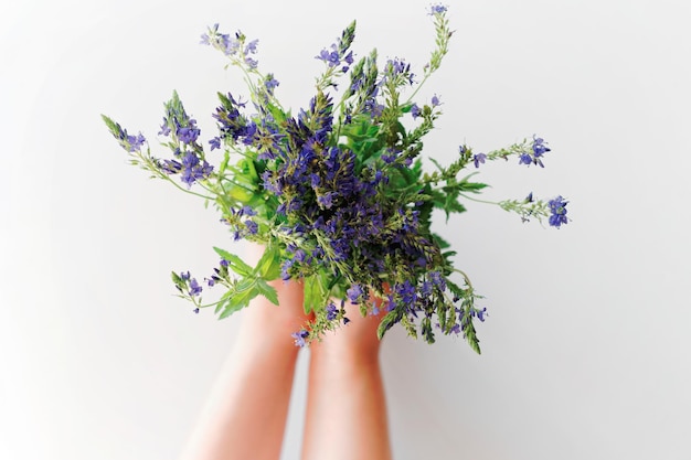 Bunch of violet field flowers in the girl hands.