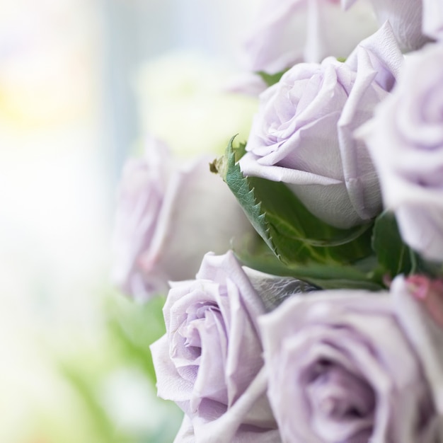 Букет из фиолетовых и фиолетовых красивых роз