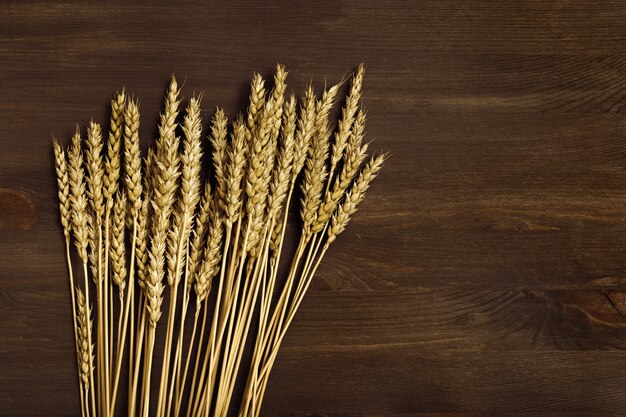 Bunch of wheat ears close up on