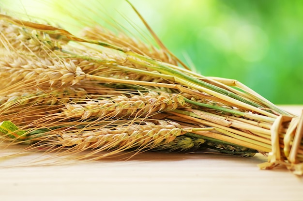 bunch of wheat plants on table