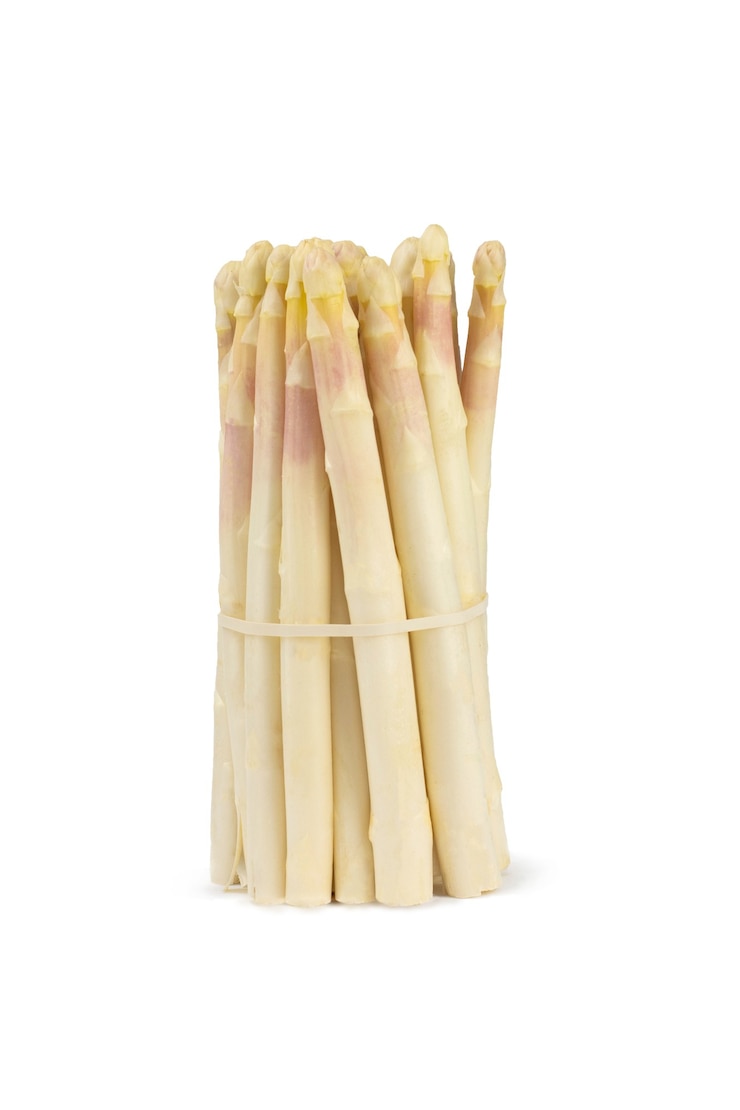 Bunch of white asparagus isolated on white. Fresh vegetables.