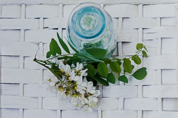 Bunch of white flowers acacia near bottle of medicine Collection of herbs in season