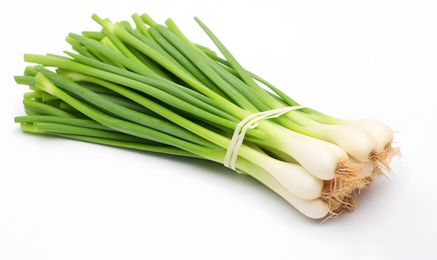 Photo a bunch of white flowers with a rope tied around it