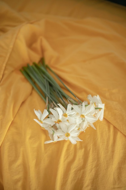 A bunch of white flowers on a yellow sheet